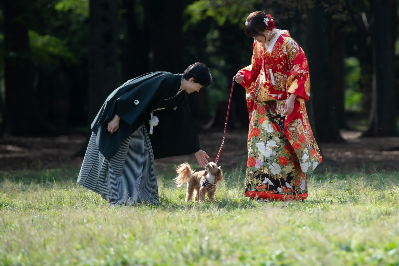 2月末迄の撮影で写真集プレゼント【代々木公園♡和装ロケ】家族やペット参加OK!衣装UP無料!美肌、歯の美白など加工付き