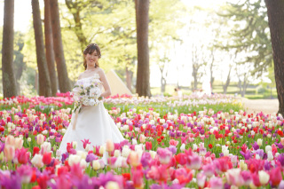 【ネモフィラ＆チューリップ】ロケーション撮影