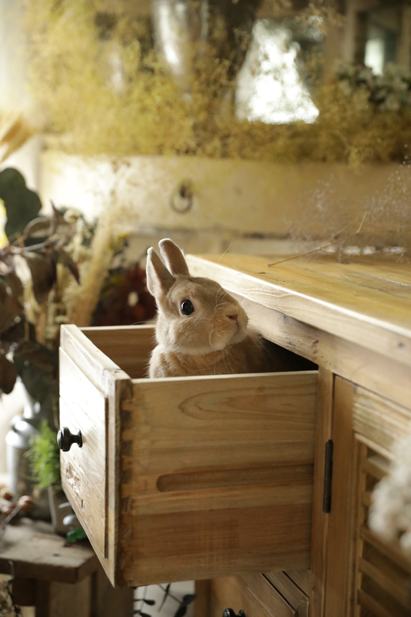 僕もいるよ〜♪