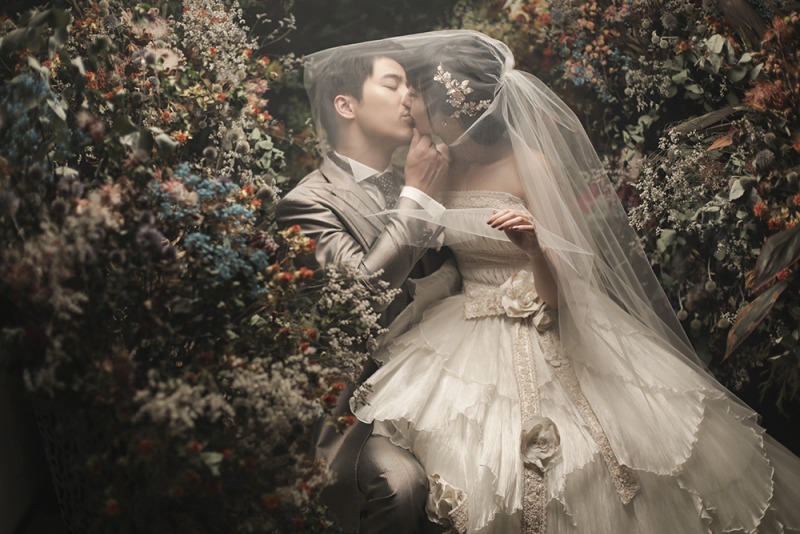 大注目!アートフォトプラン