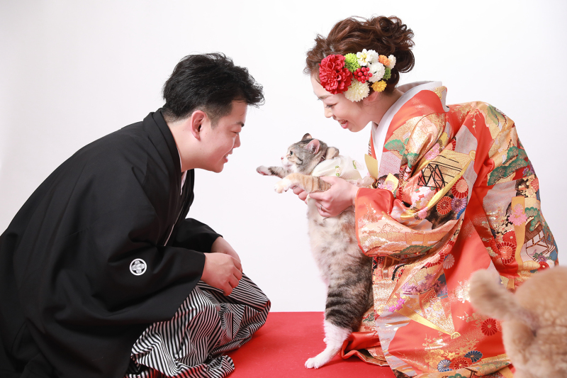 ねこちゃんは？？？