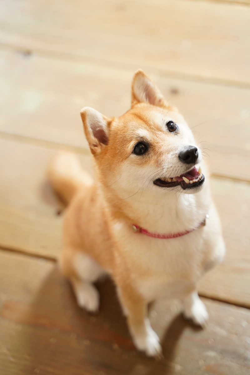 今日の主役さん♪