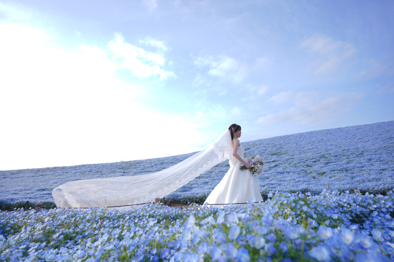 絵本の中の世界