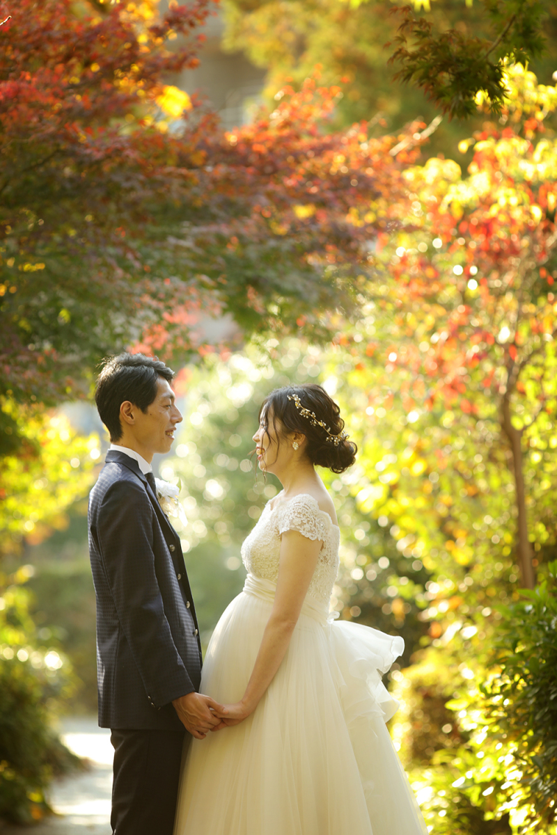 紅葉がきれい。