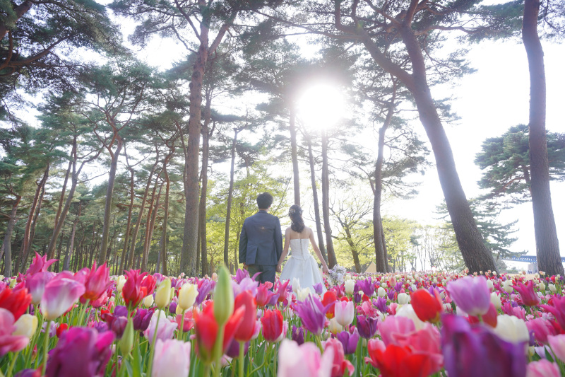 まずはチューリップ畑から♪