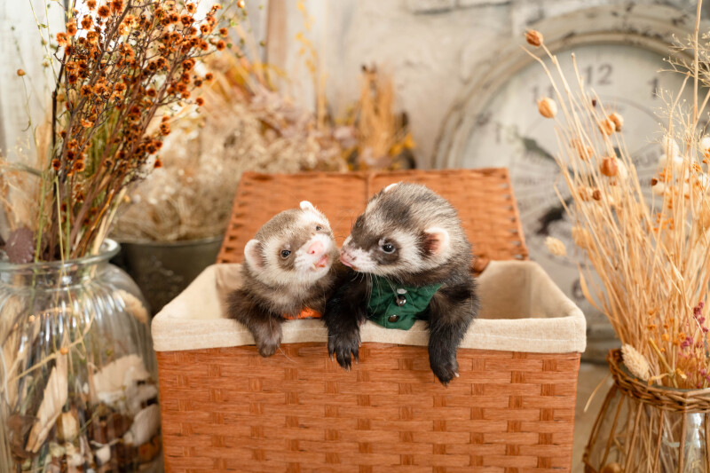 こんなかわいいカットも♡