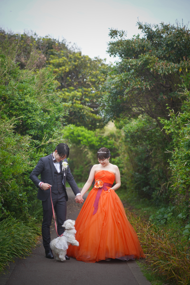 緑道にてお散歩ショットを