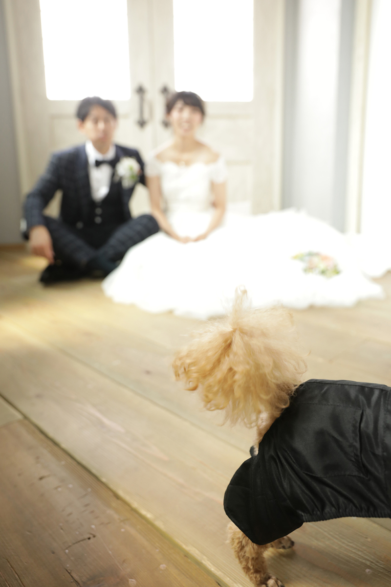 場所を変えて、、、