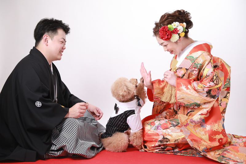 ワンちゃんとタッチ!