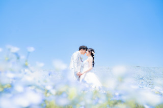 青と蒼のネモフィラフォト