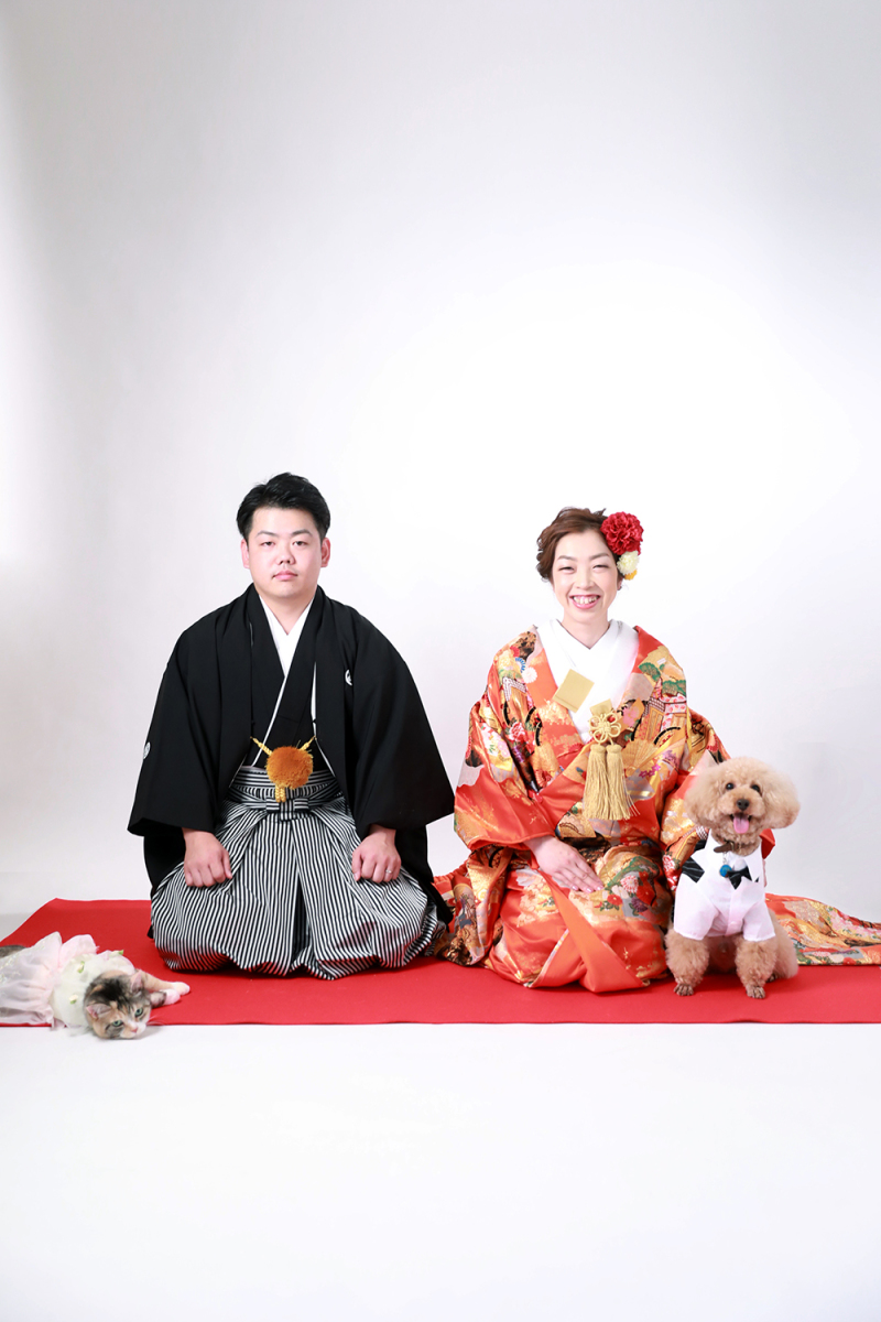 ねこちゃんかわいすぎ♪