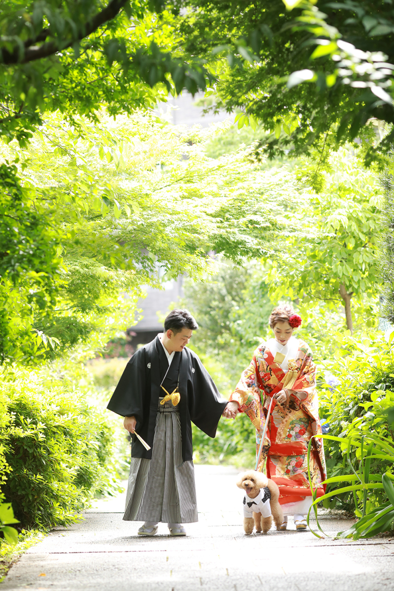 お散歩もしたよ。