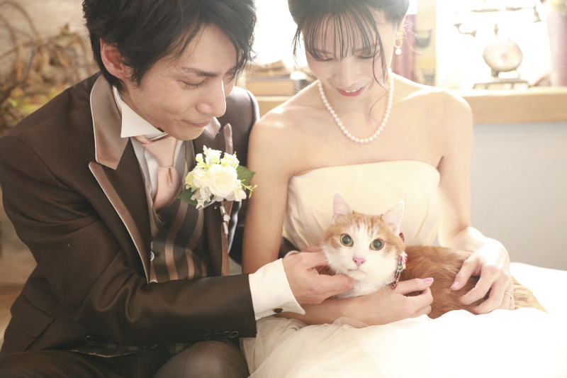 猫ちゃんとのフォトウェディング