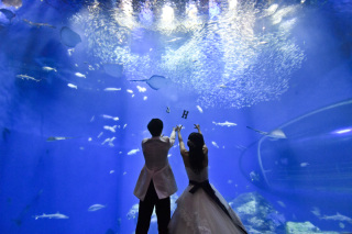 水族館ロケーションフォト