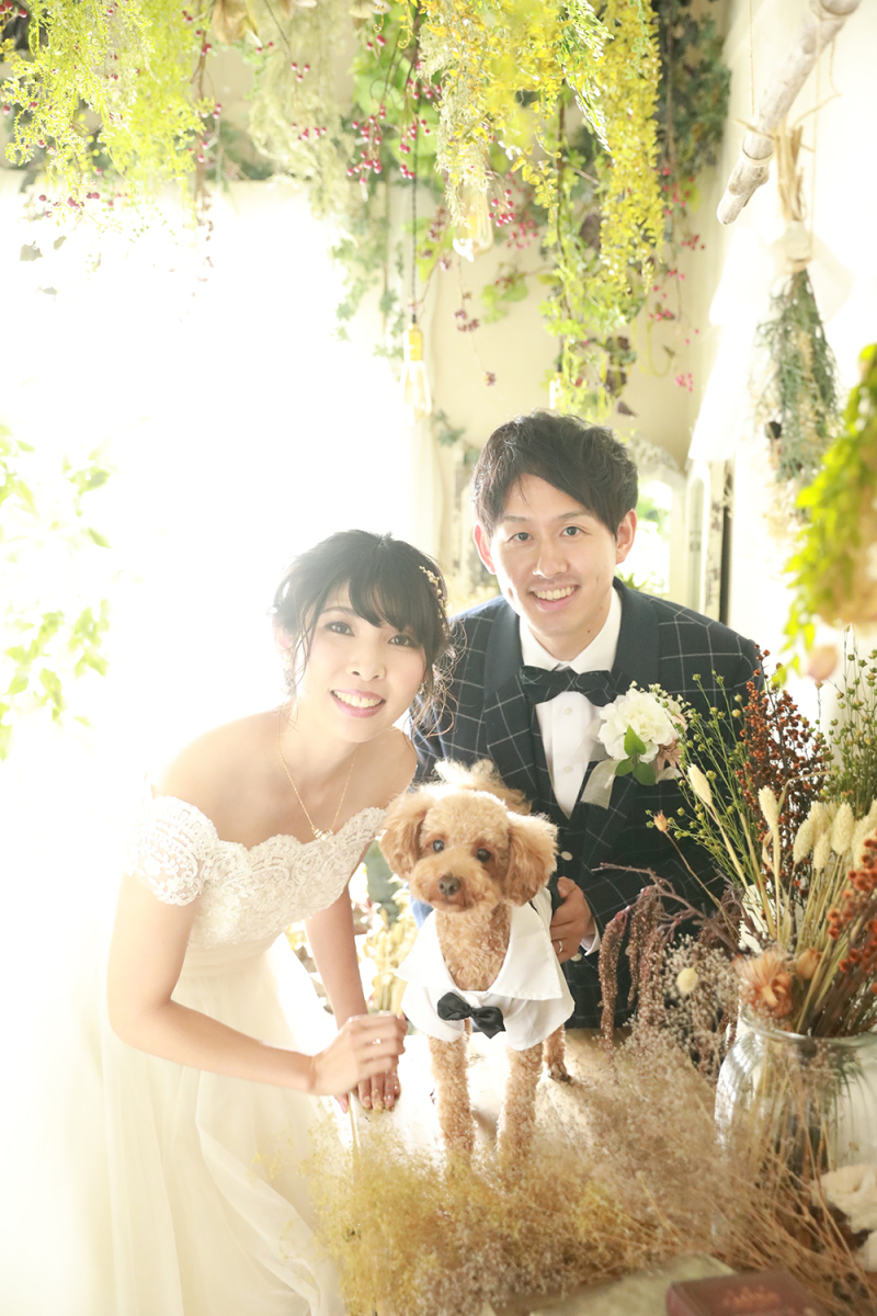 わんちゃんと一緒にドレスでフォトウェディング
