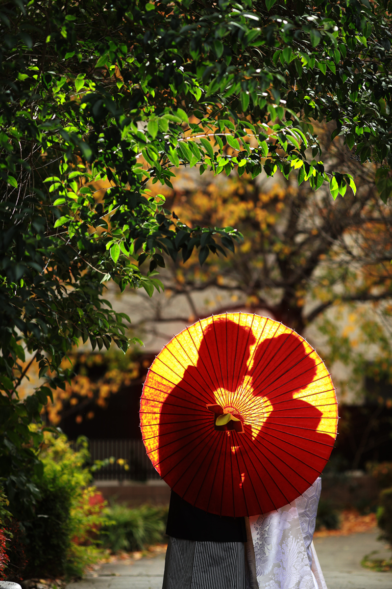 最後はシルエットで。