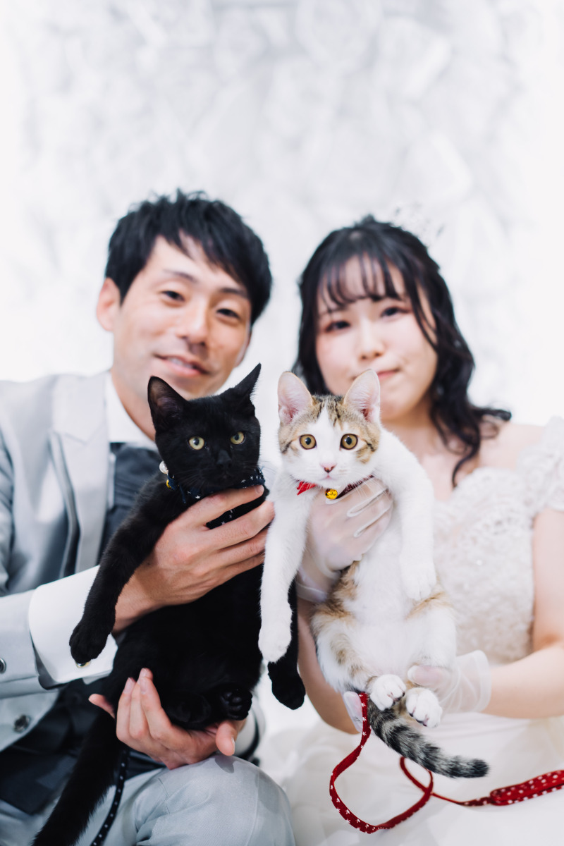 アンシャンテ東京_ペットと一緒に撮影できる