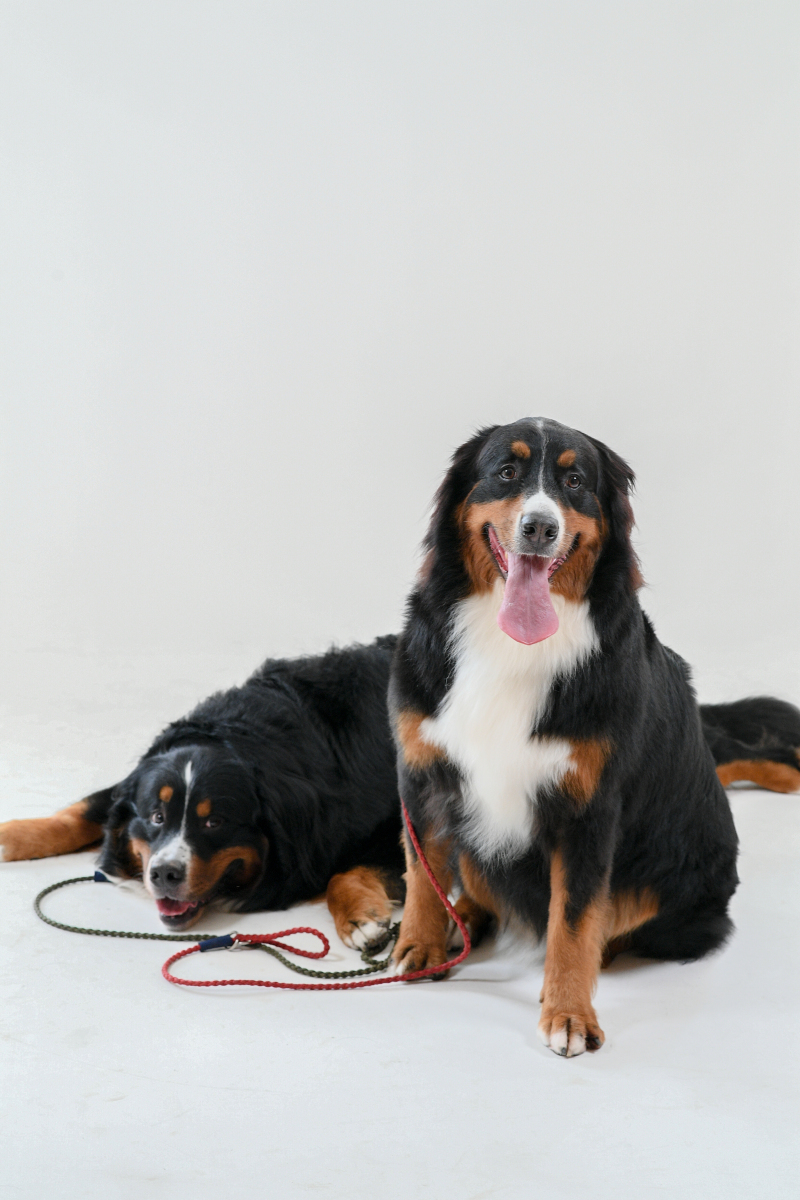 ソロショットも逃さず撮影します！