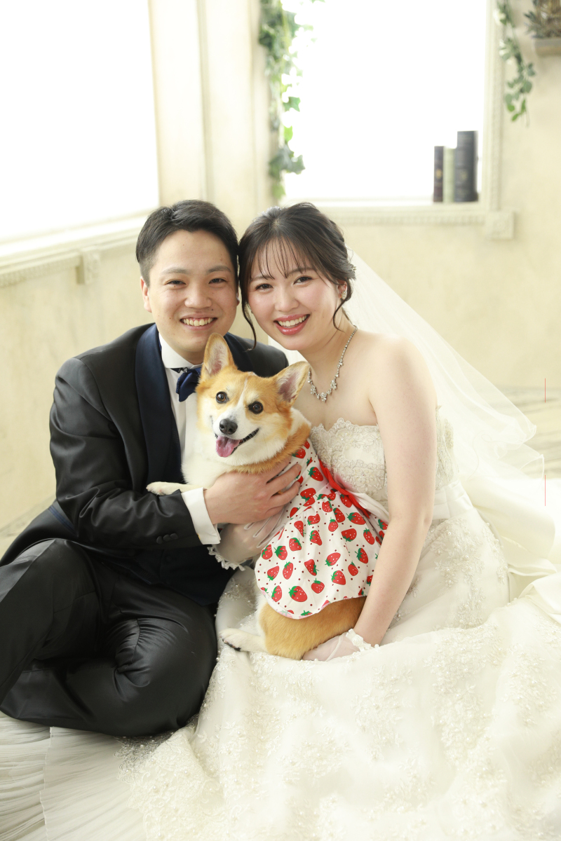 アンシャンテ東京_ペットと一緒に撮影できる