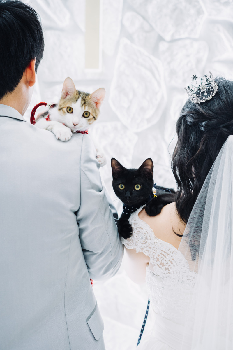 アンシャンテ東京_ペットと一緒に撮影できる