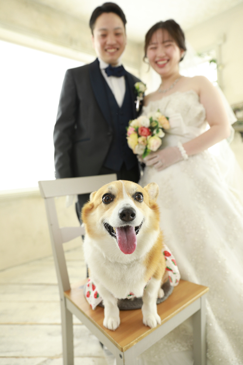 アンシャンテ東京_ペットと一緒に撮影できる