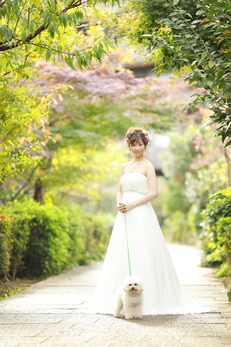 わんちゃんとも撮影可能です。