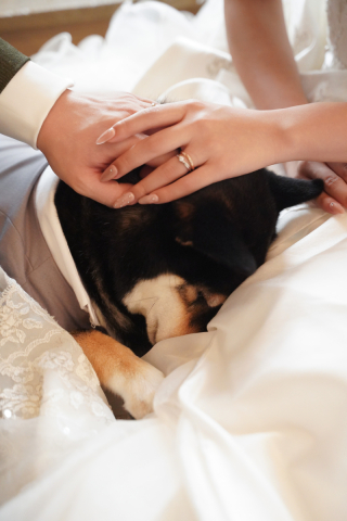 アンシャンテ東京_スタジオ