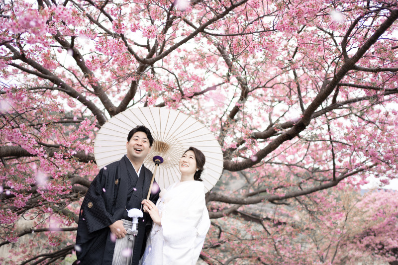 【小野写真館50周年記念】期間限定|河津桜フォトウェディング