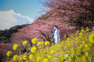 【衣装追加料金なし】期間限定｜河津桜フォトウェディング　165,000円（税込）
