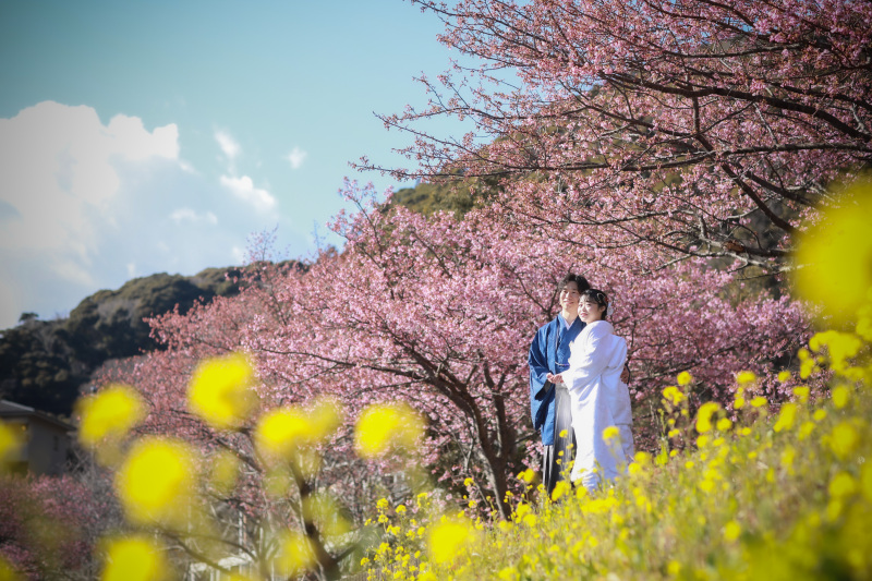 9月末まで!伊豆旅行プラン《通常価格¥280,500→特別価格¥192,500》衣装追加料金なし!データ130カット付き!
