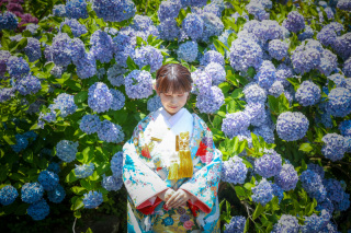 可愛い♡お花ロケーション☆【洋装・昼・お花ロケーション】220,000円&rarr;137,500円