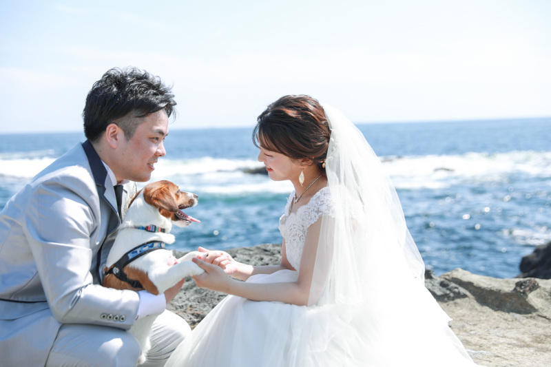 7月末まで！ペットやお子様と一緒にフォトウエディング☆【ロケーション+スタジオ撮影】◎360,800円&rarr;180,400円