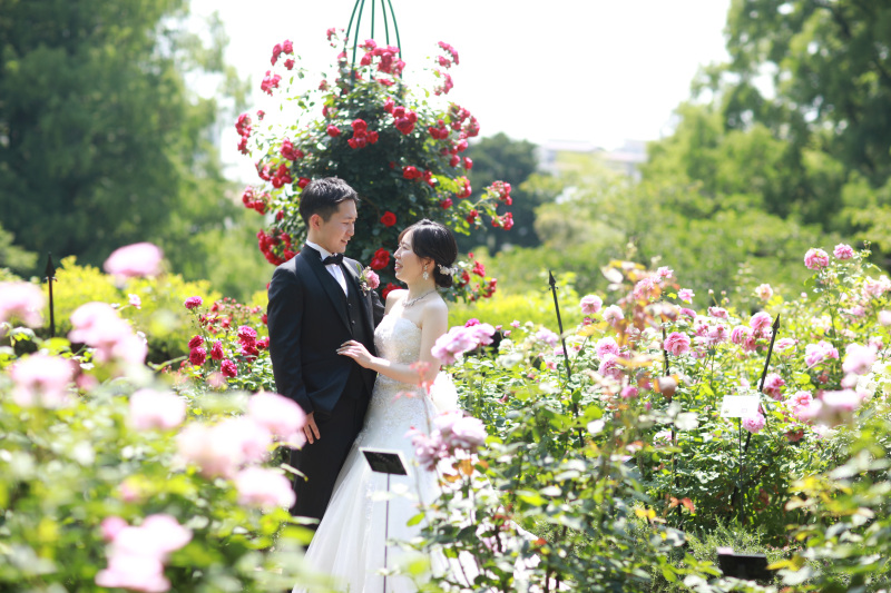 7月末まで!新緑ロケーション☆【洋装・昼・公園芝生ロケ】220,000円→137,500円