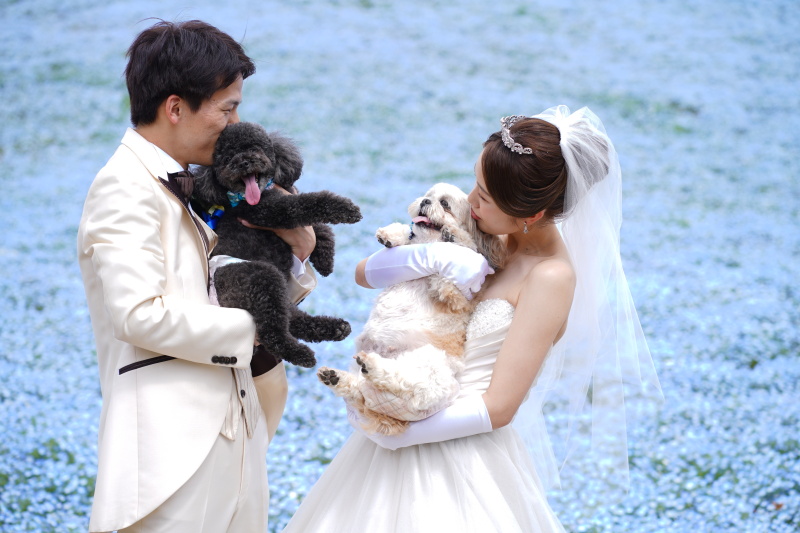 ★最終チャンス★緊急追加！！＼先着順／【ネモフィラロケーション】通常価格131,250円&rarr;特別価格101,250円　