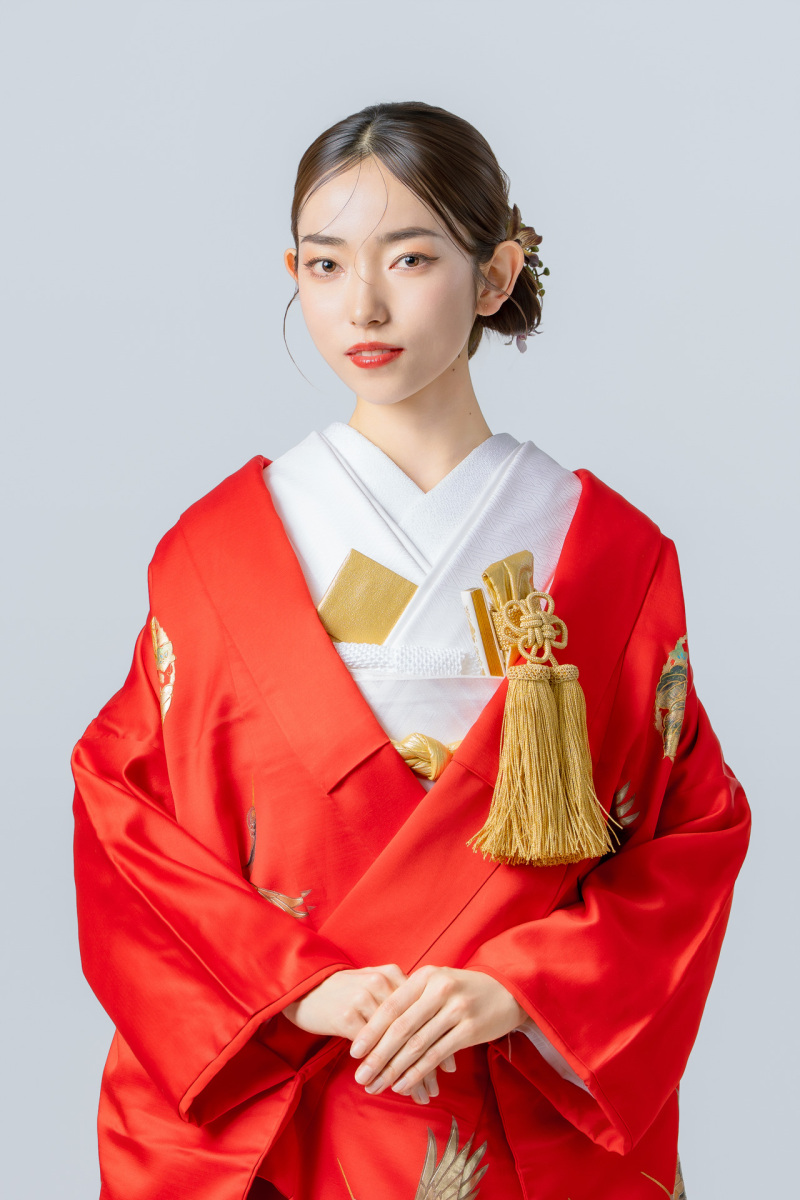丸紋に鶴