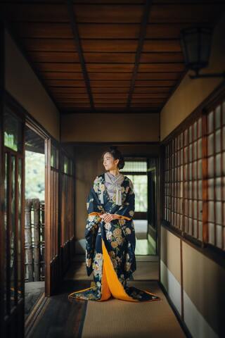 藍色牡丹(あいいろぼたん)