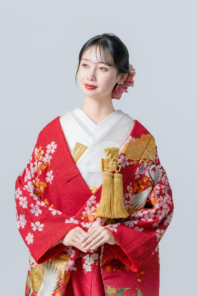 鶴に老松梅花文