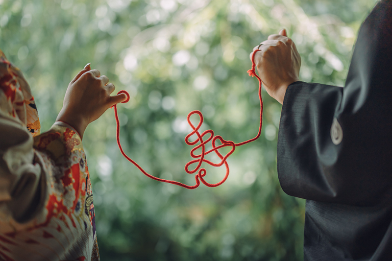 ドラマチックなお写真も