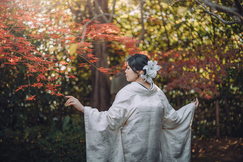 和装の後ろ姿ショット