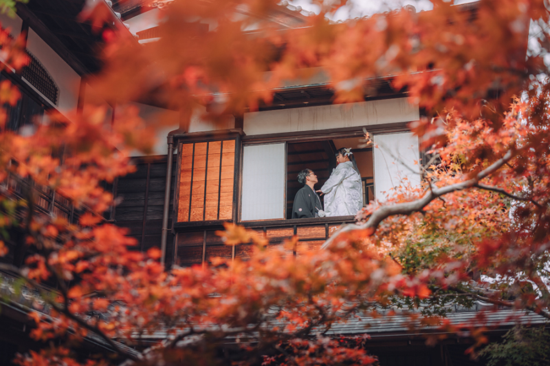 ドラマチックなお写真も