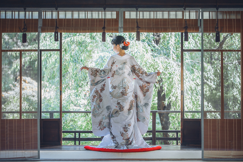 和装の後ろ姿ショット