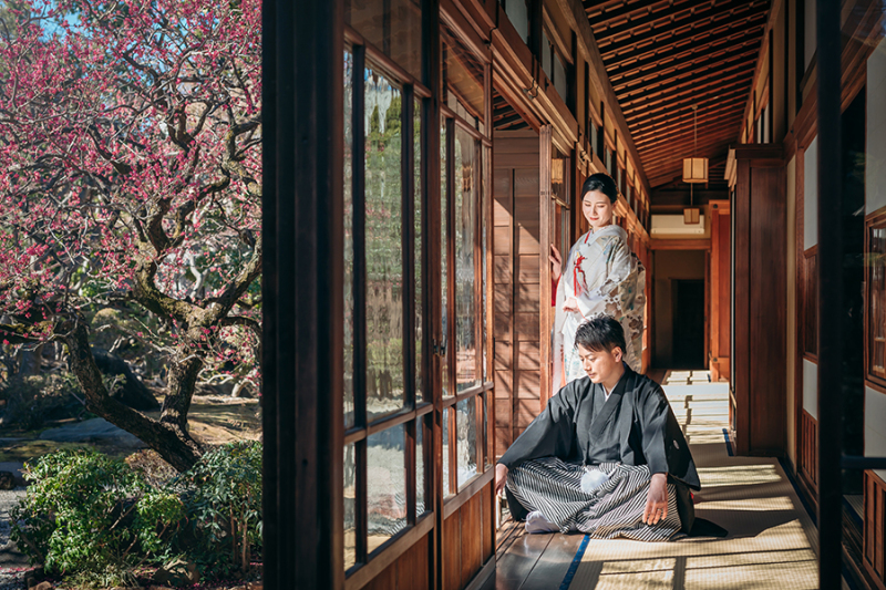 窓際で自然光を活かして