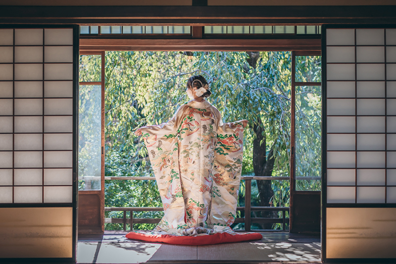 和装の後ろ姿ショット
