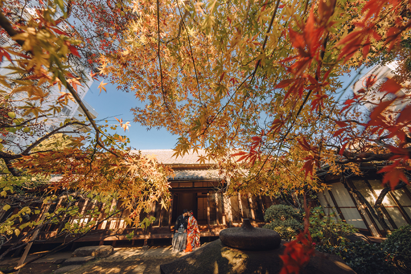 お庭の自然もたっぷり