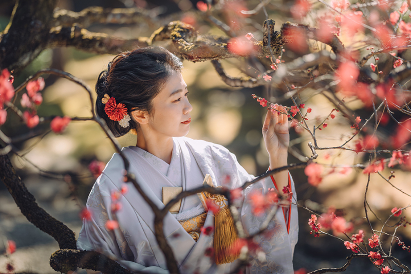 ドラマチックなお写真も