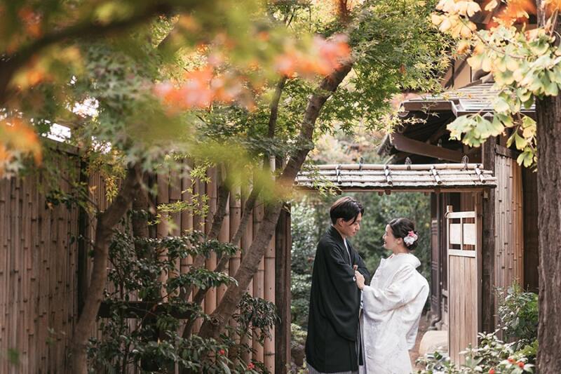 ほんのり紅葉も色付き始めました!