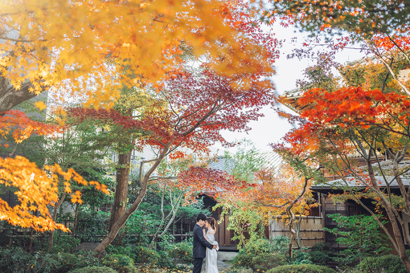 お庭の自然もたっぷり