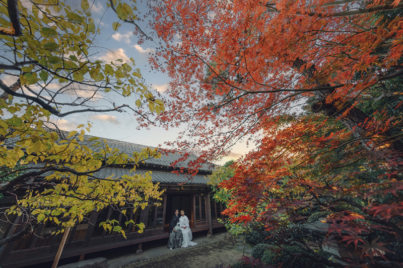 お庭の自然もたっぷり