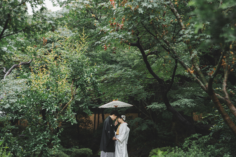 お庭の緑もたっぷり