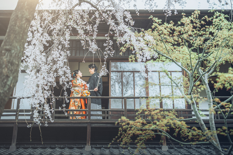 ドラマチックなお写真も